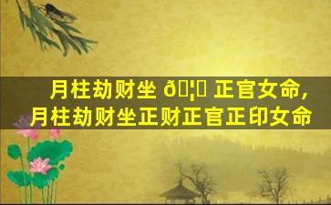 月柱劫财坐 🦟 正官女命,月柱劫财坐正财正官正印女命